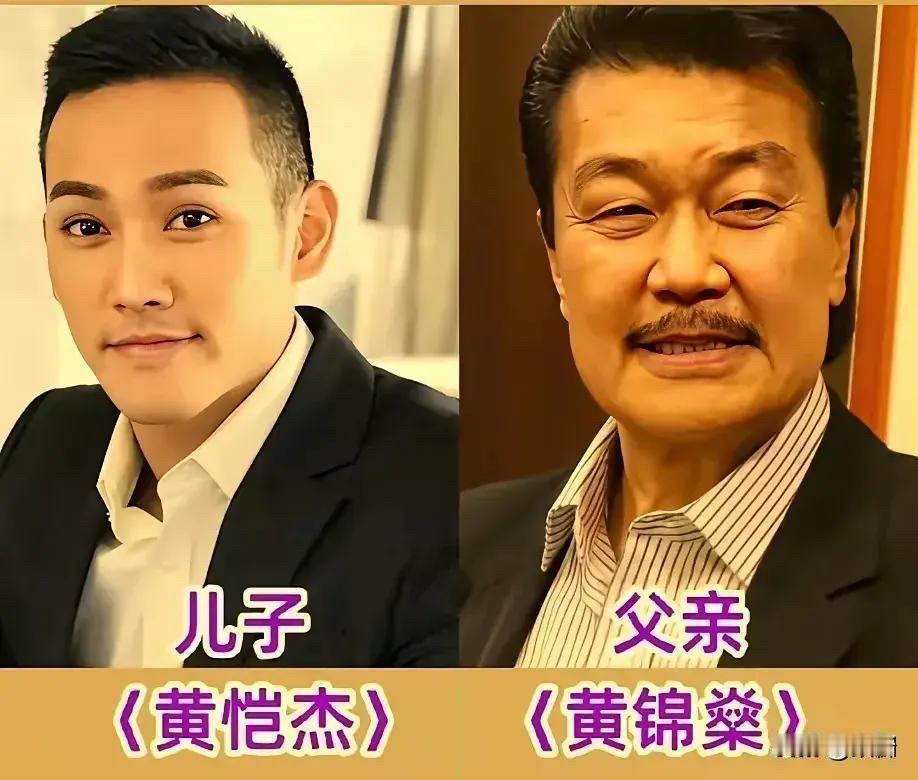 向华强与向佐，父亲是香港影坛举足轻重的人物，儿子凭一身功夫打进好菜坞。
曾志伟与