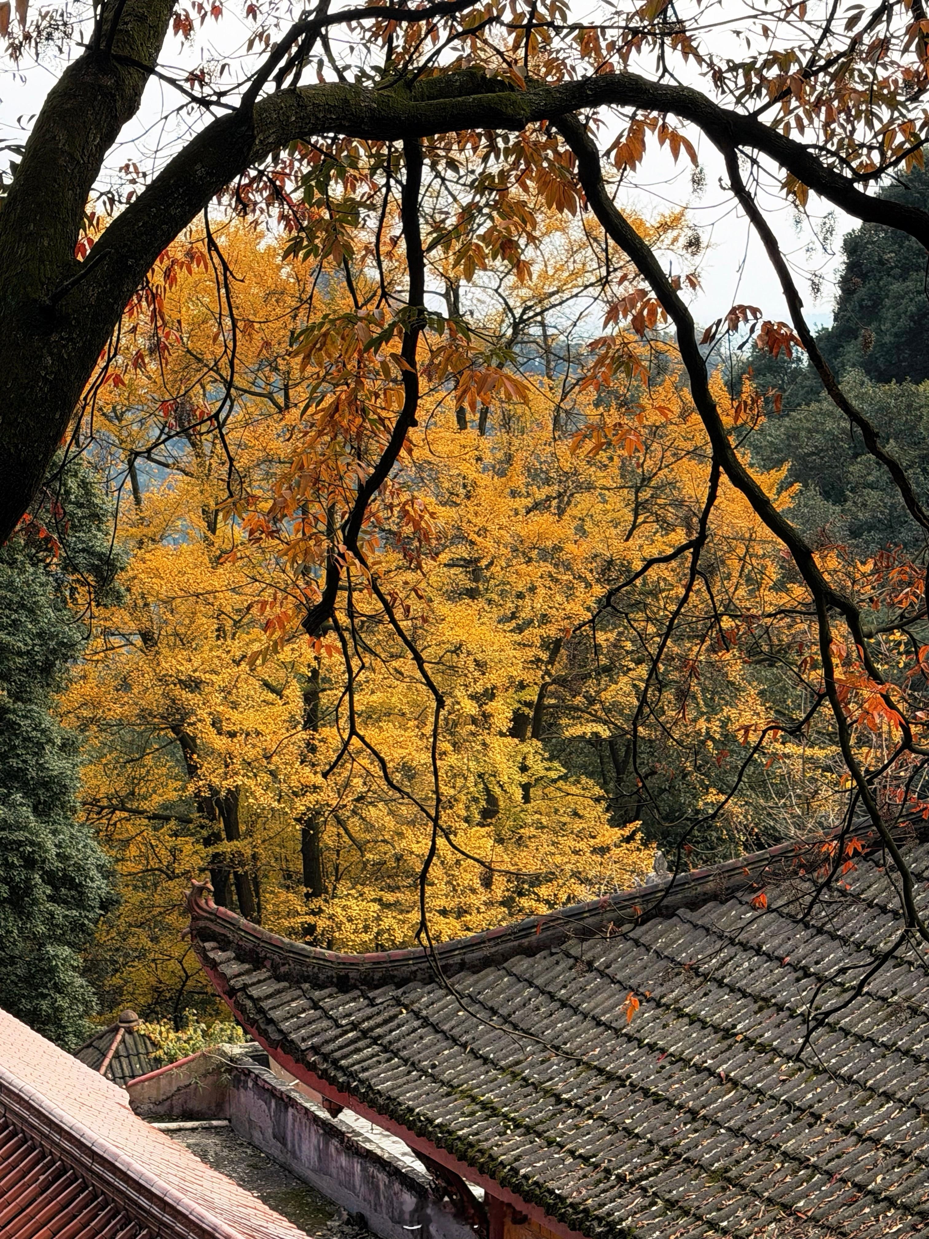 在秋冬总是会比平常更容易感觉到幸福 