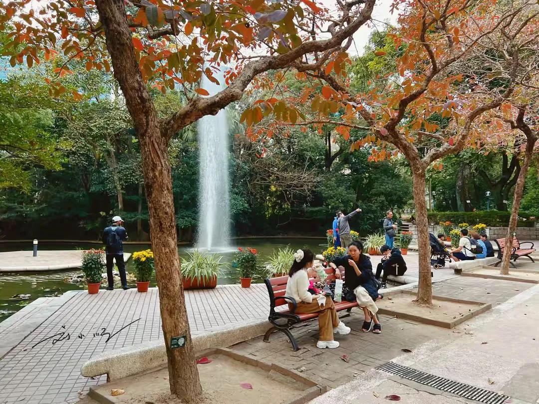 前段时间，我和朋友一起来到香港特别行政区旅游，除了日常的逛街和吃吃喝喝之外，我们