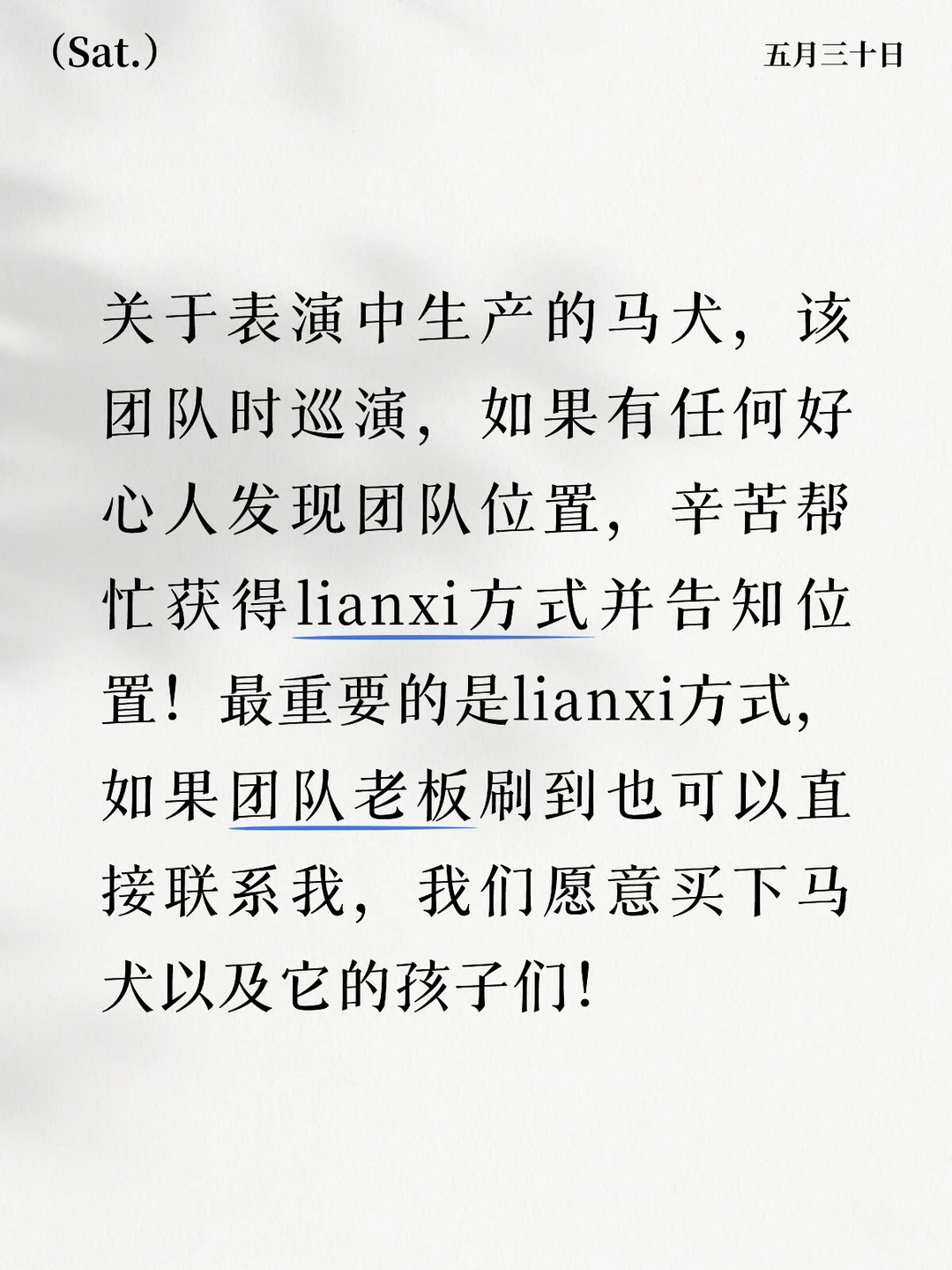 马戏表演中生产哺乳并被迫继续表演的狗狗