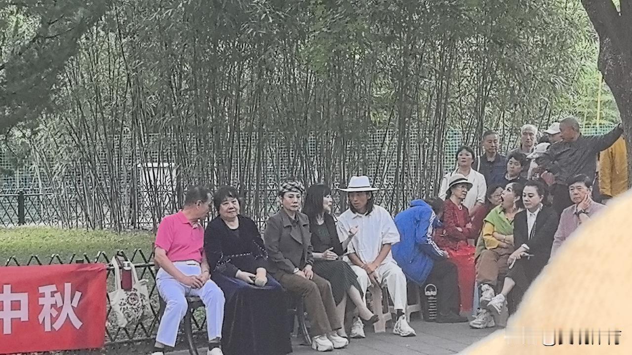特伦专场音乐会在紫竹院公园上演。

公园露天音乐会