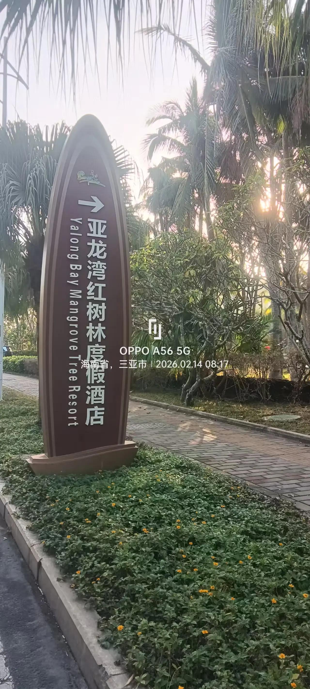 新春来抓马 我的足迹地图