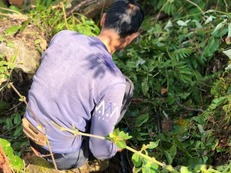 怎样让普通人赚钱容易起来，我认为，这是当下国家所有事情中的重中之重。否则，一切美