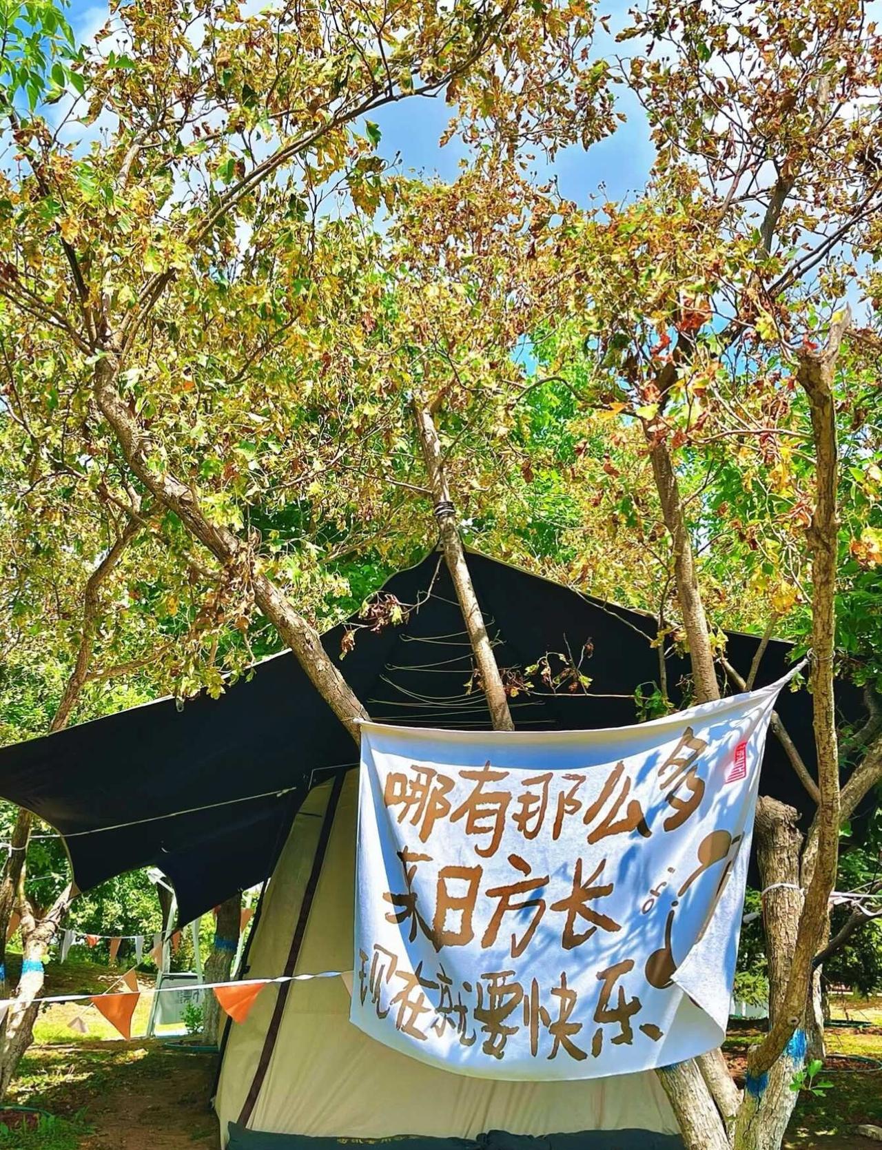终于有人专门做「懒人露营+户外烧烤」了✨
不想被城市困住，只想奔赴山野和烟火🔥