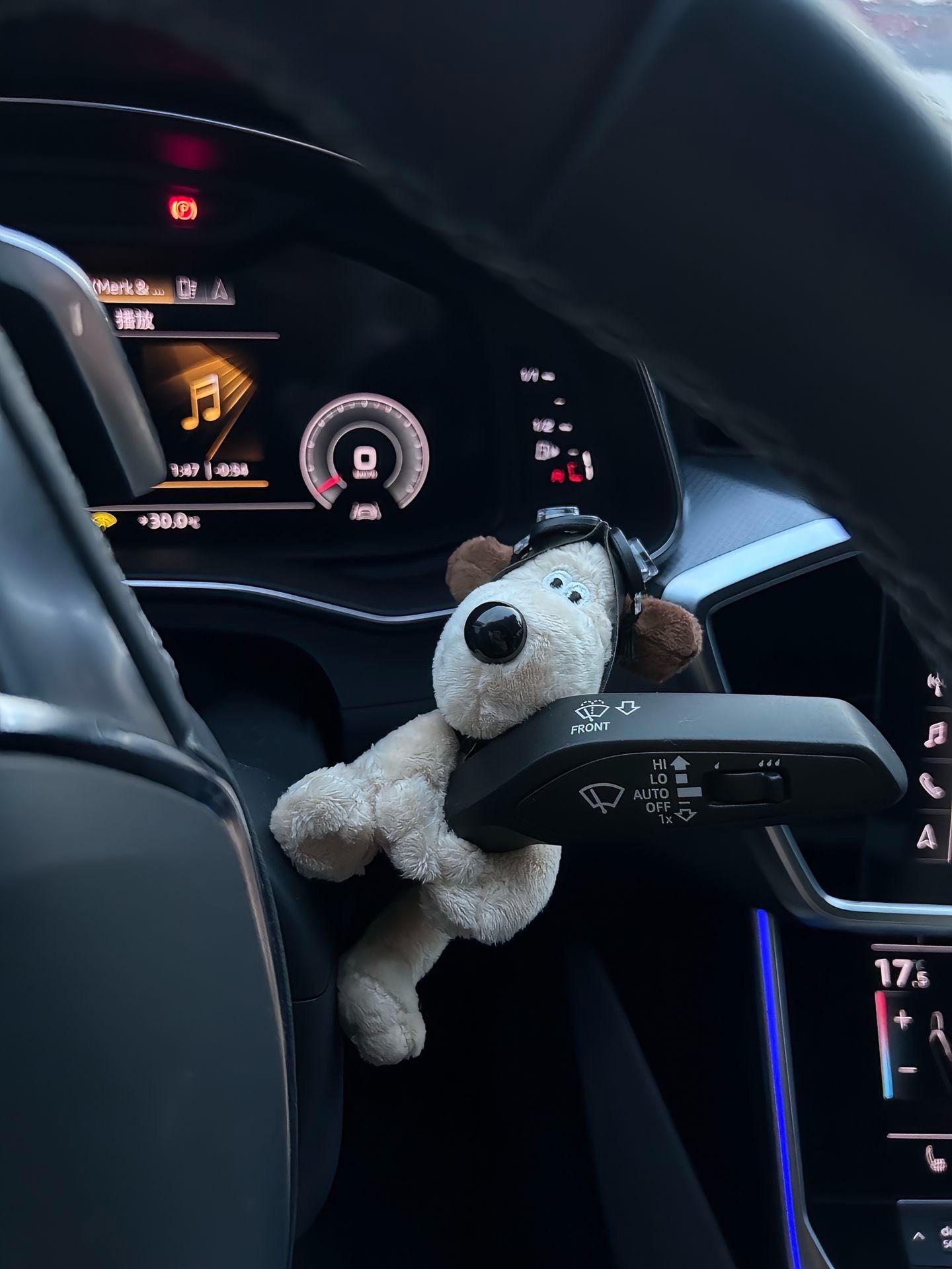 兄弟姐妹们，好可爱的小狗，放在车上真好看