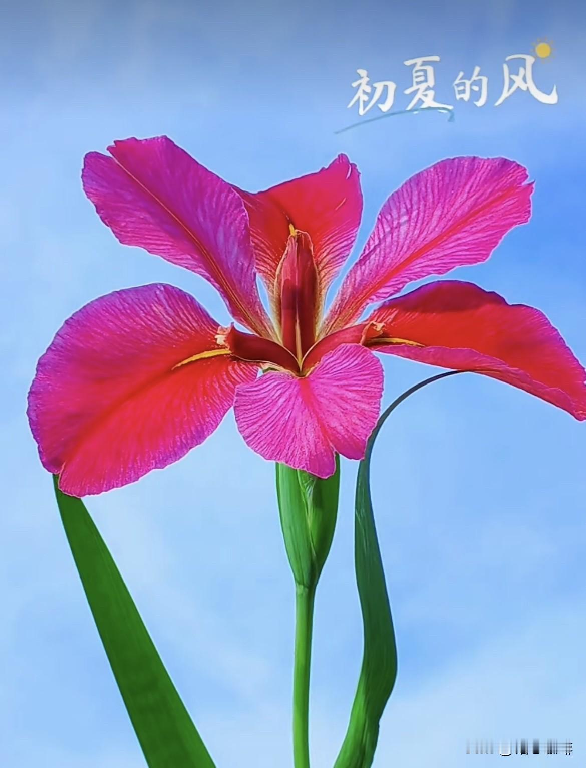 上联：红日照大地
   下联：春风暖人间