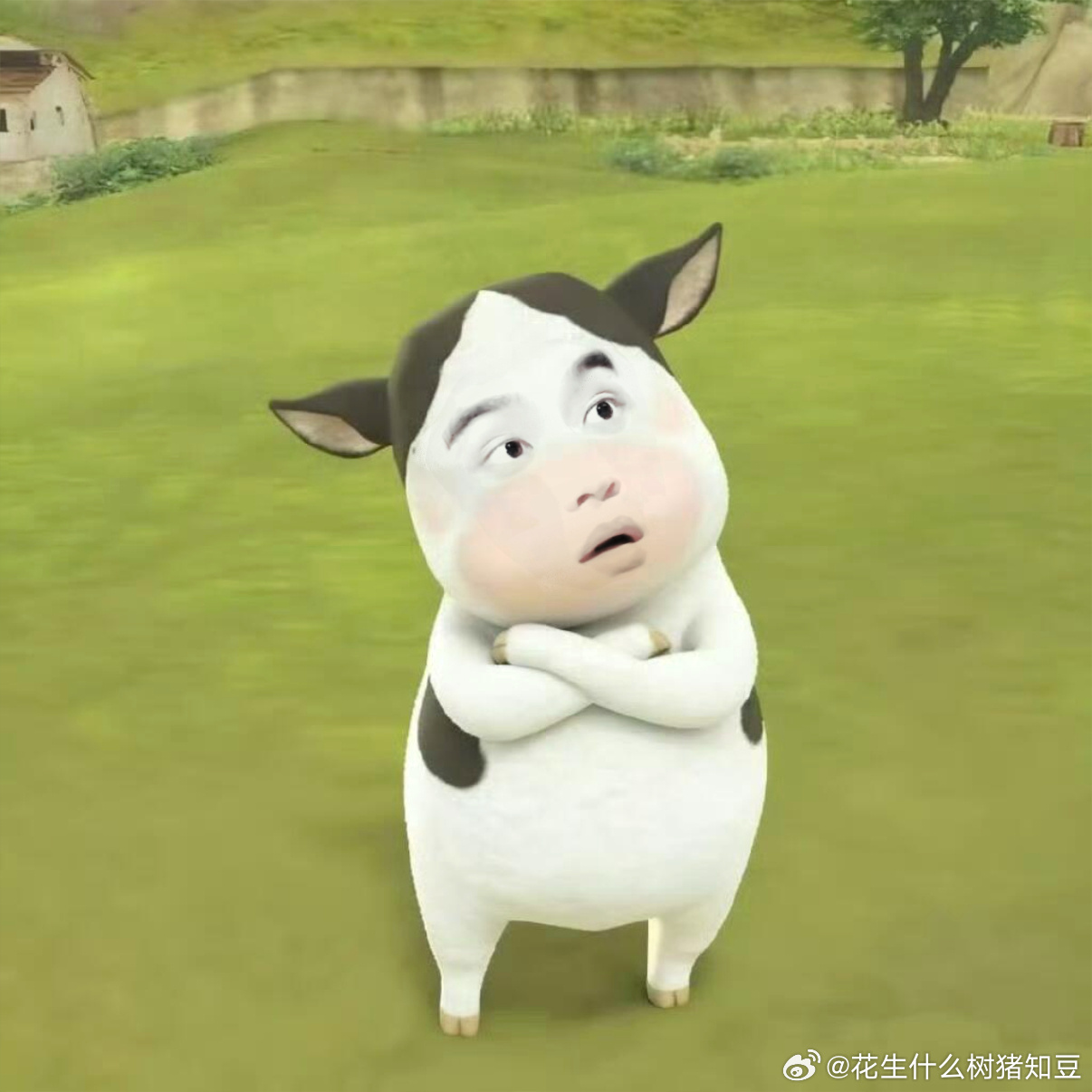 20岁是成年人了吧我请问呢 