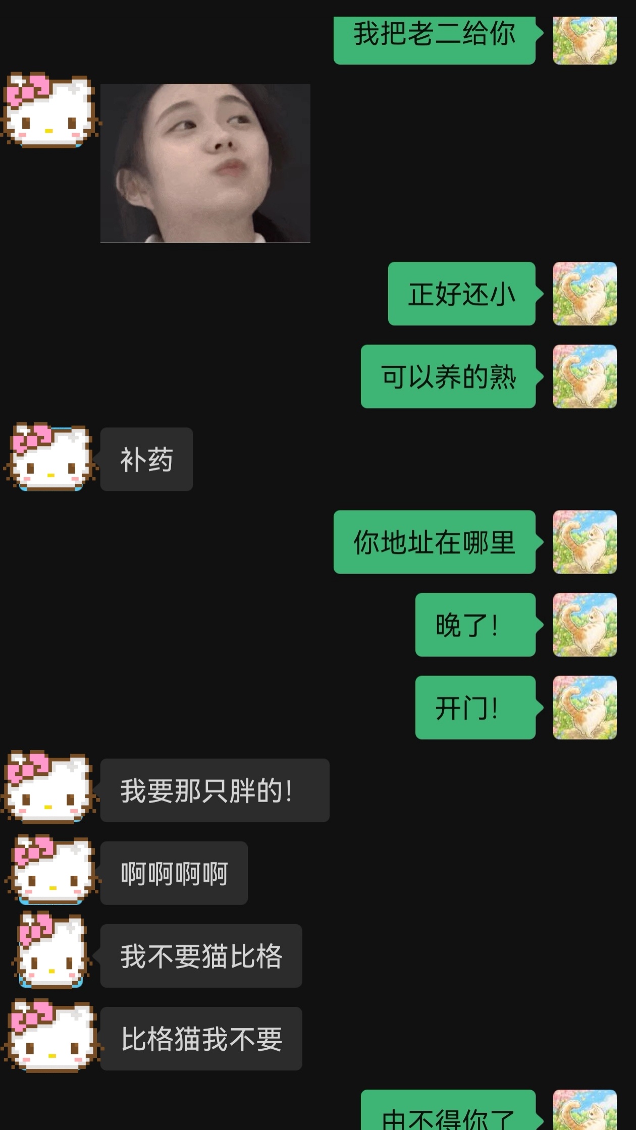 叽里咕噜说什么呢，开门！（踢门而入） 