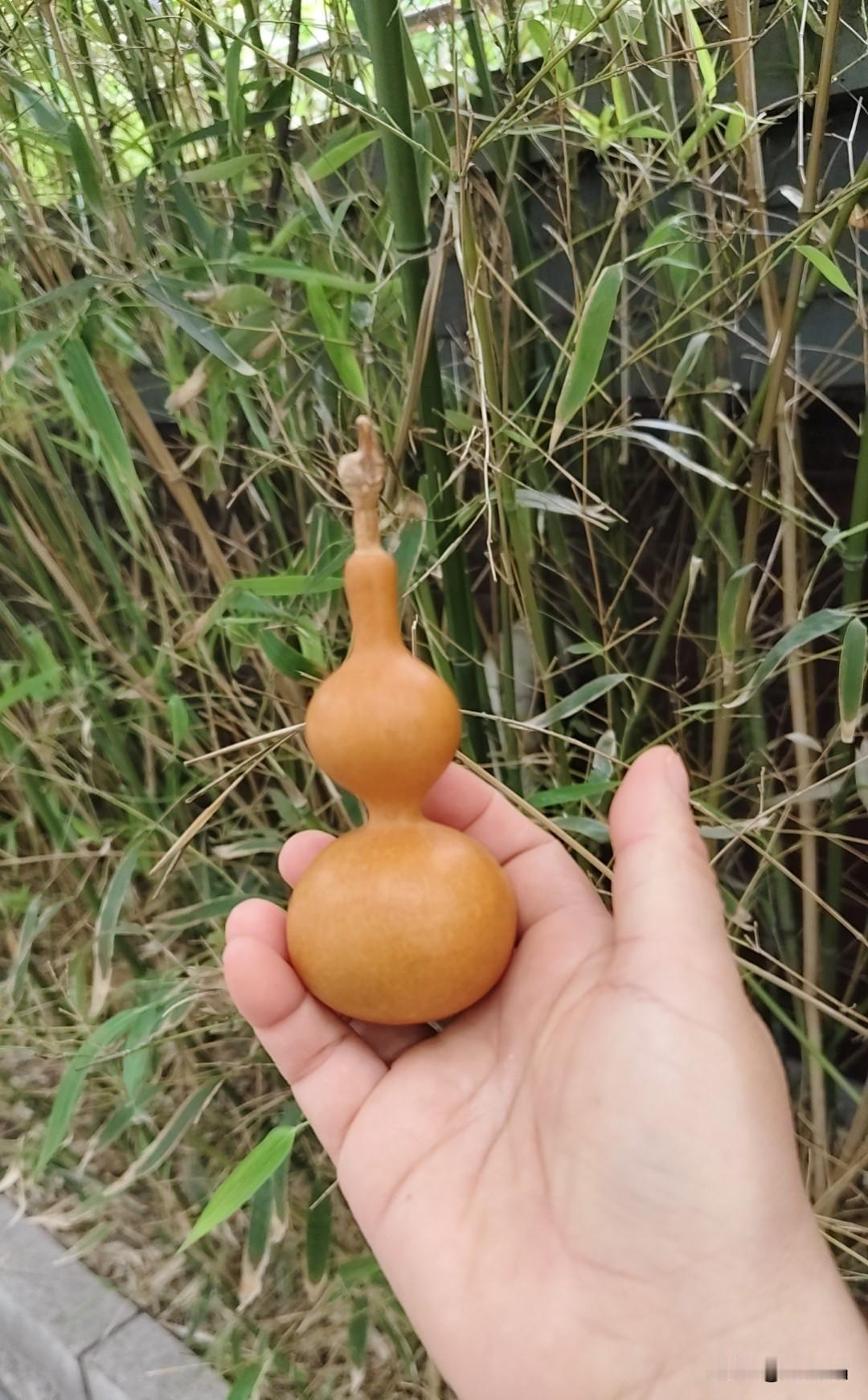 我认为越难越难。高考确实感觉越来越卷了，题目灵活度、知识覆盖面都在升级。不过这也