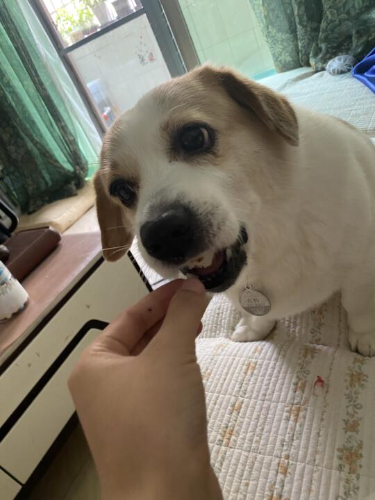 中午休息回家看下胖闺女