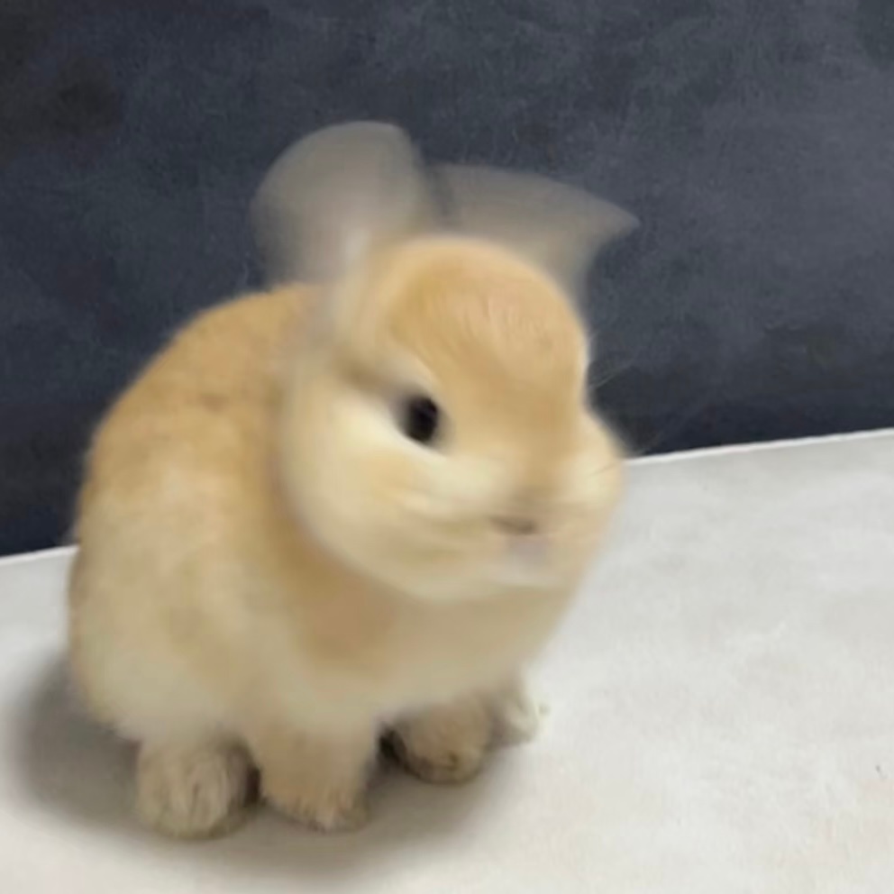 猛猛甩头么 ​​​