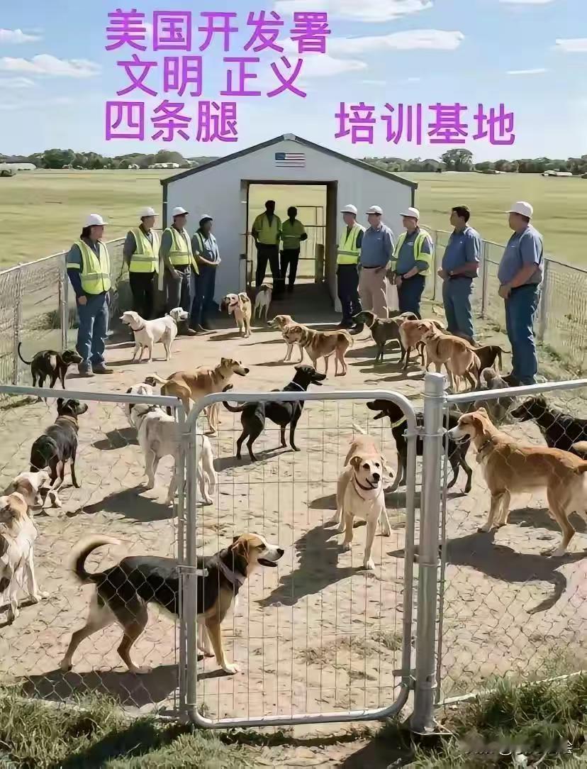 最近刷到过这样的视频，某些博主站在中国的土地上，嘴里高喊“文明一定会到来”。
