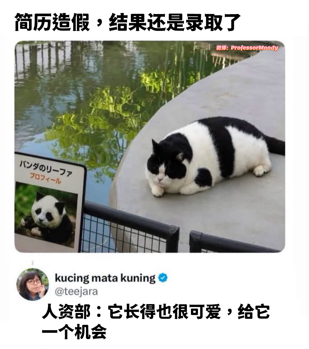 吉祥物meme