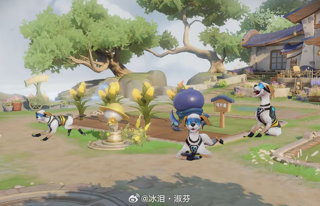 强烈建议把哮天犬加入农场，看护我的农作物，免得被我的朋友卡点偷菜！！！王者荣耀