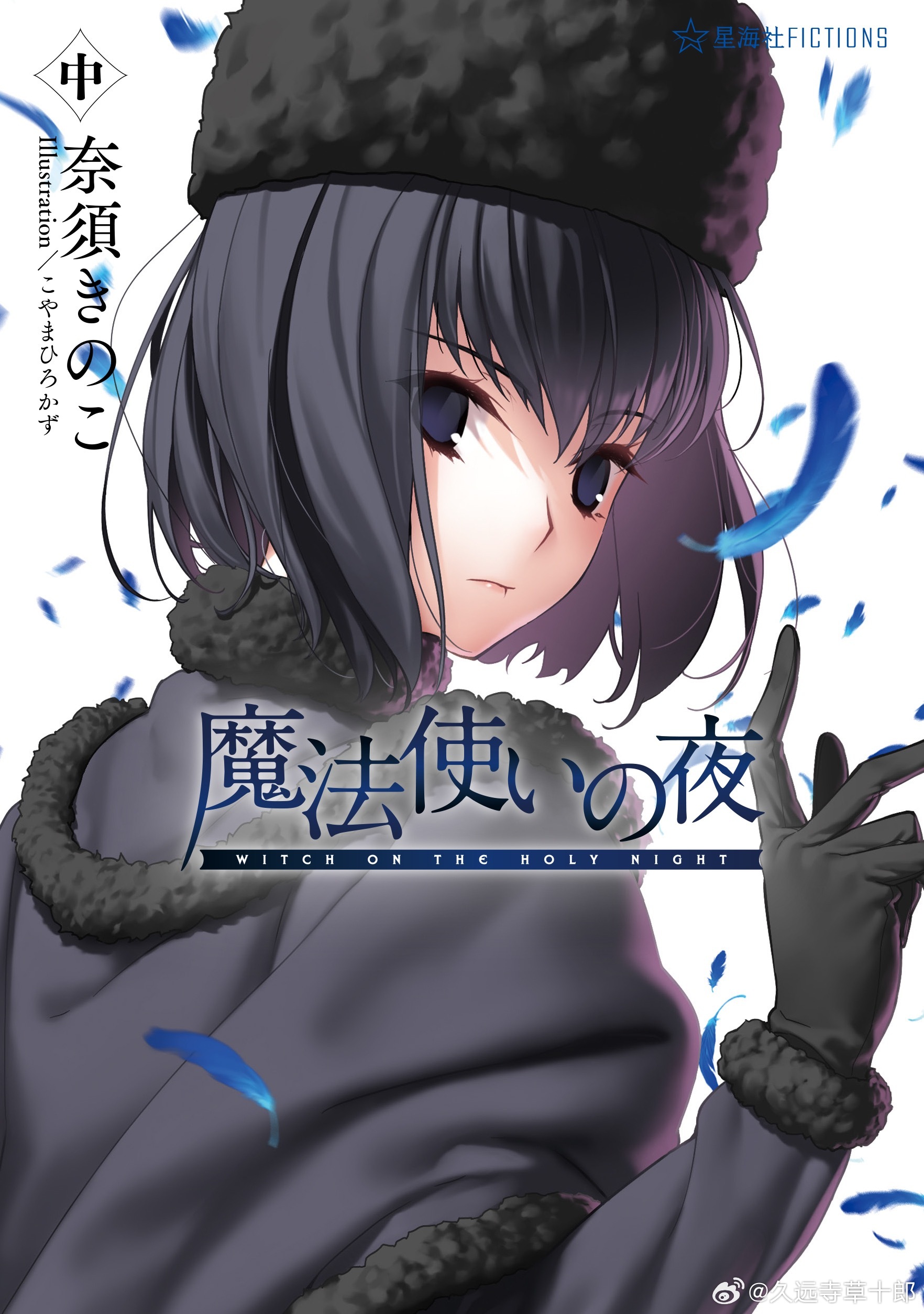 魔法使之夜小说 中卷封面 书腰：蘑菇 ​​​