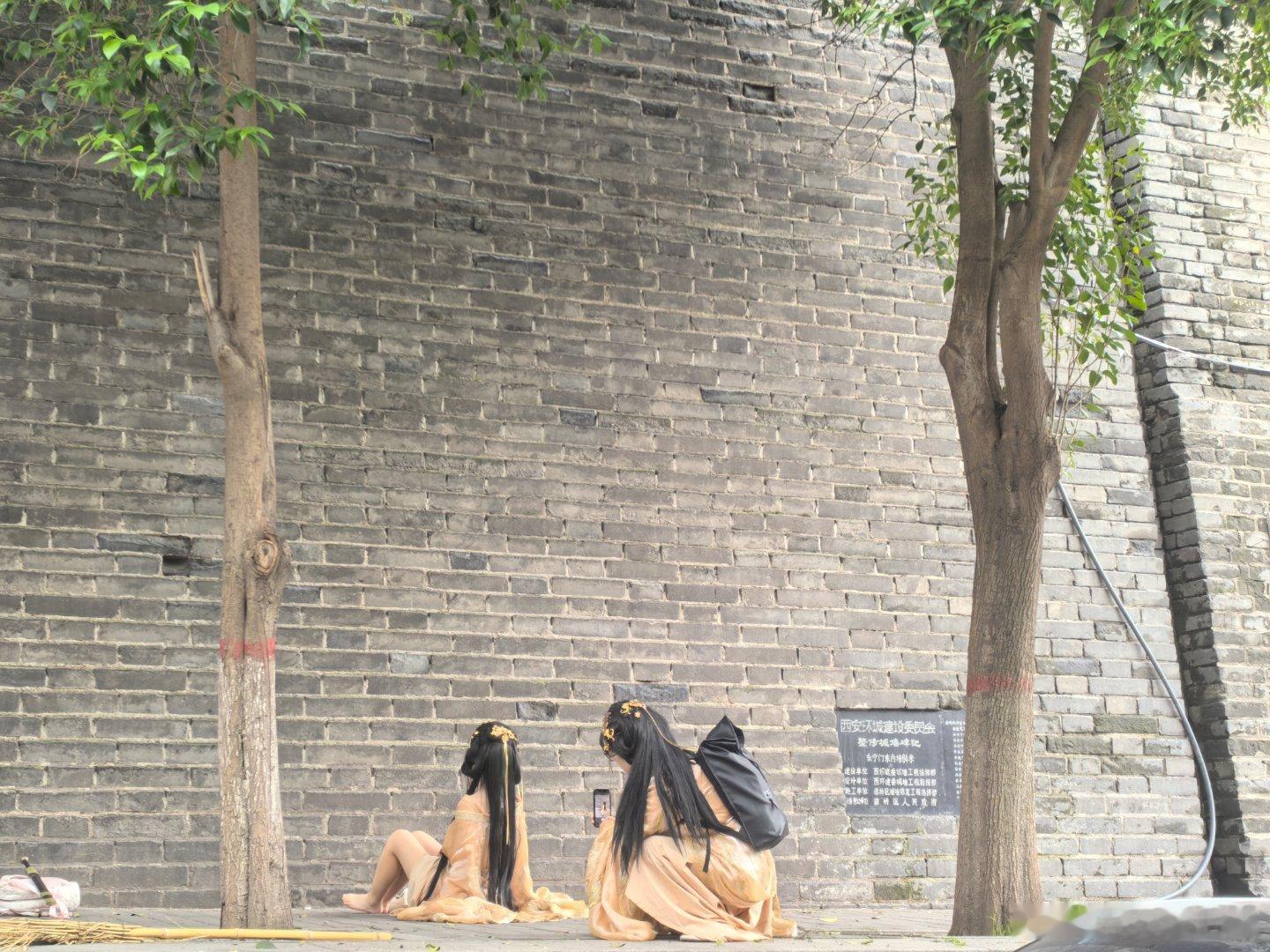 西安旧事 城墙、古槐、碑林，都自带一种加持力。斑驳城砖阅尽千年烟火，古槐虬枝舒展