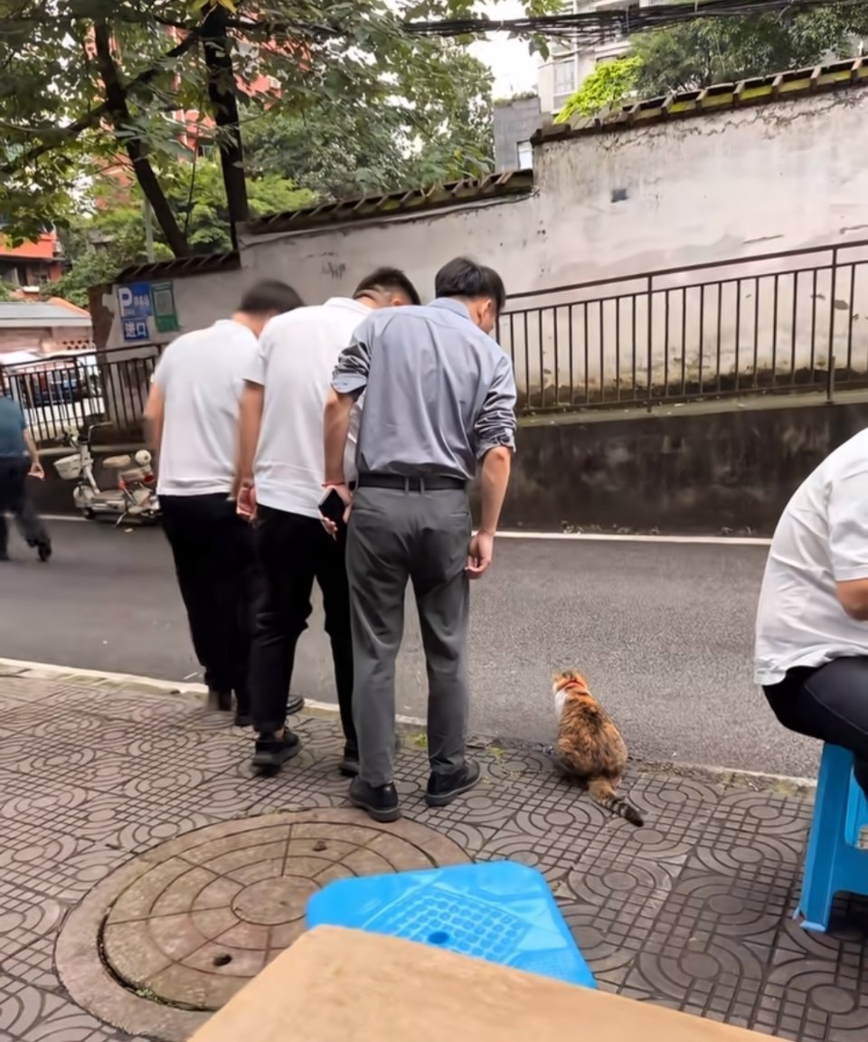 不知道看啥呢？ 他们四个好像互不认识