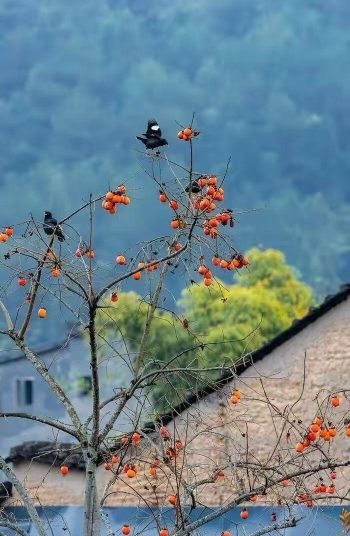 谁说中国🇨🇳男人不行？
一个80岁的富翁正在接受他的私人医生对他的身体的检查
