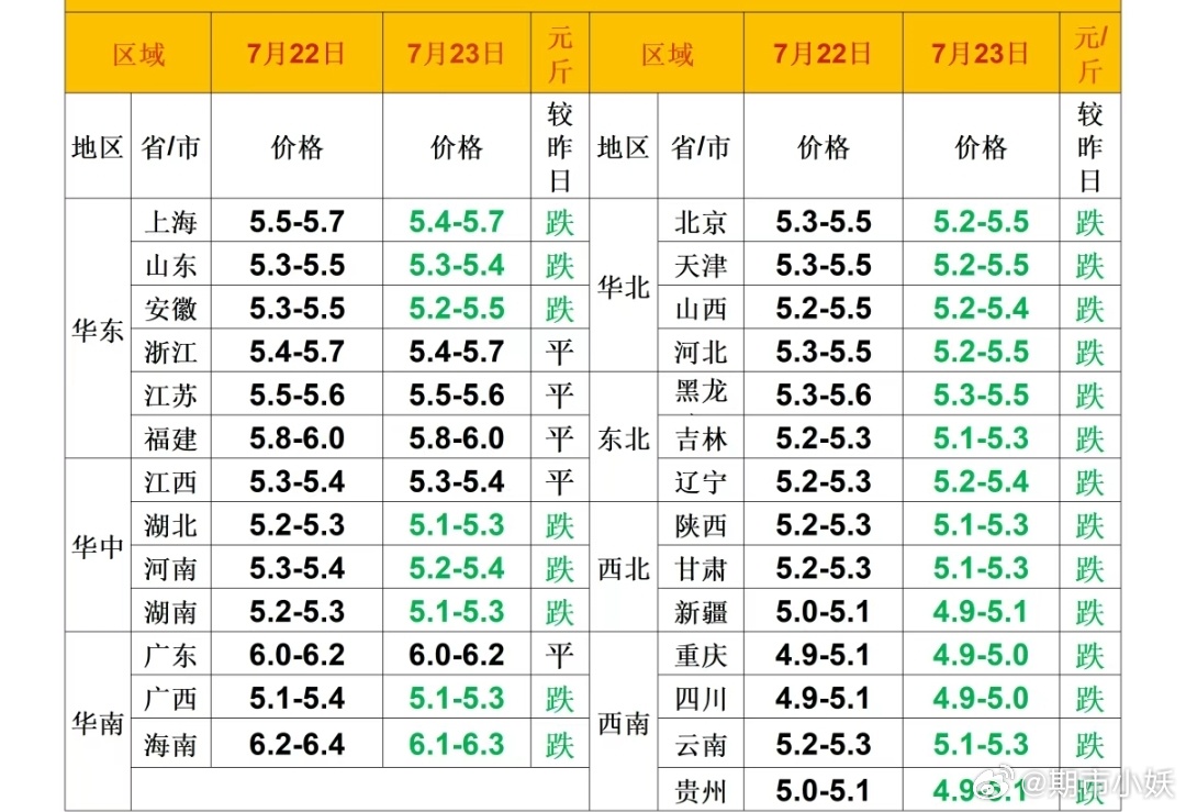 每日猪价 