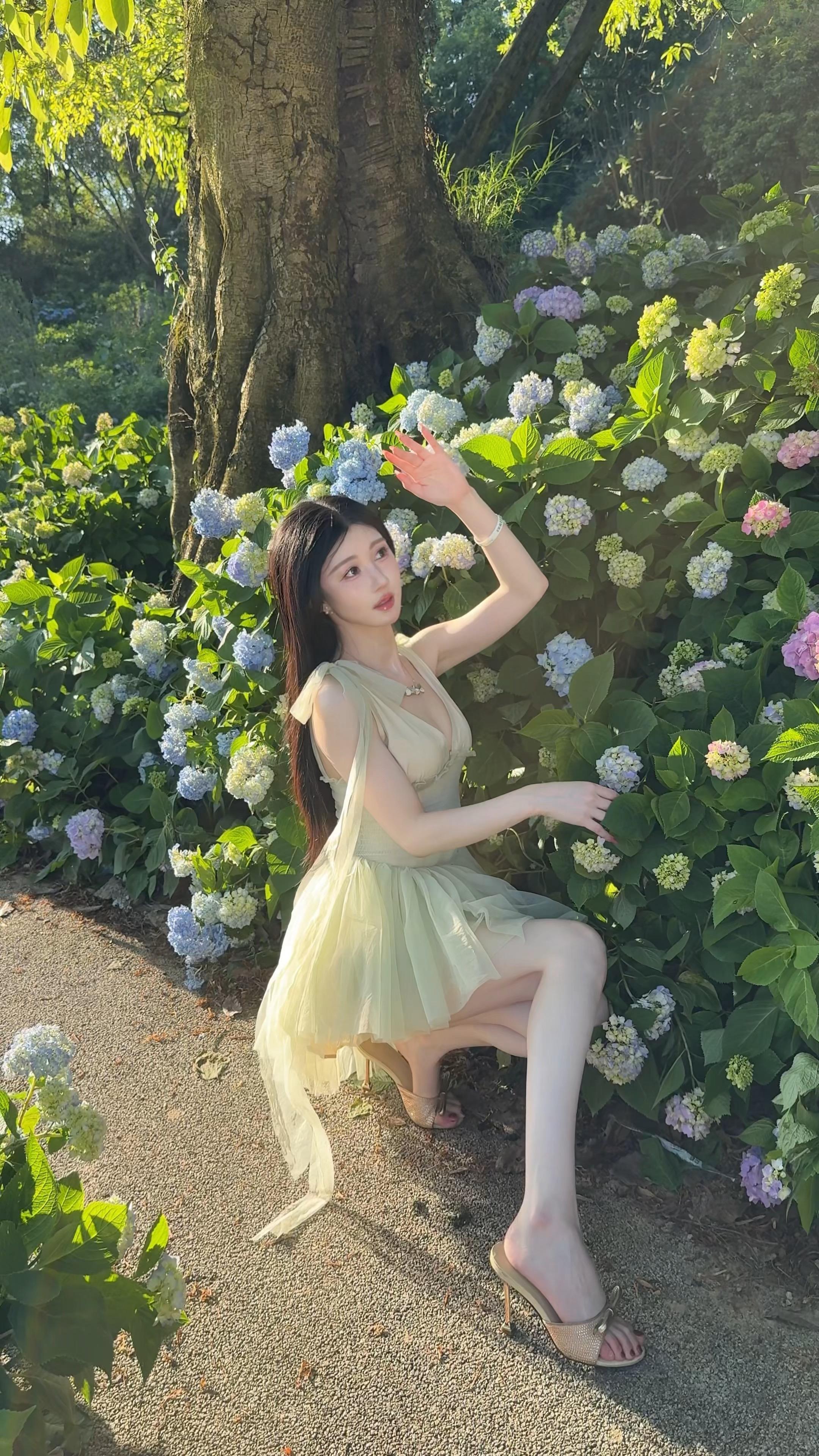 初夏就要看漂亮花花 🍃🌸