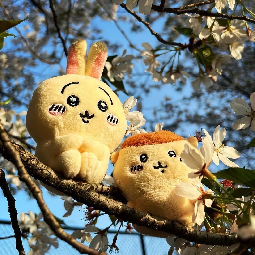 朋友圈背景图｜方长方长来日方长 