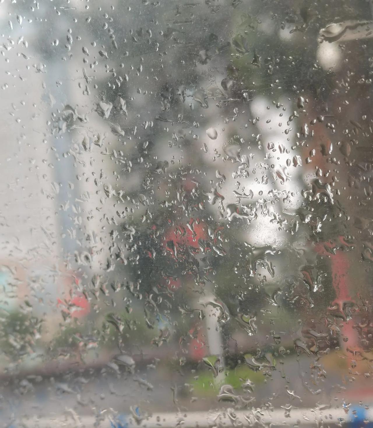 阴雨绵绵的天气，奔赴千里送别一位长者。
他是我这辈子见过的最有涵养，最有品格的一