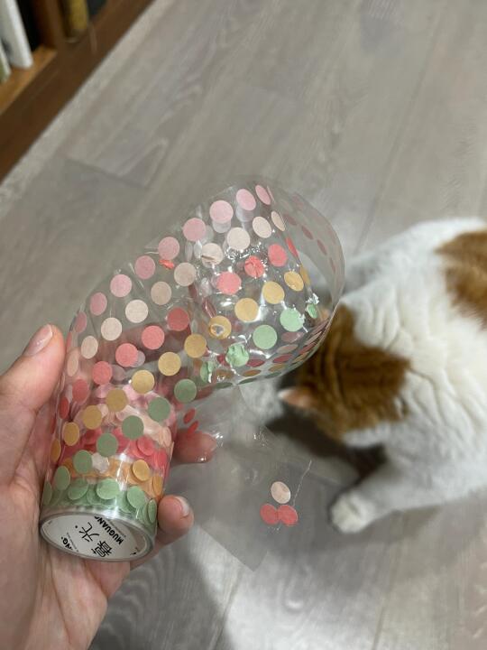 圆点贴被咬成这样，家里是有蟑螂吗？