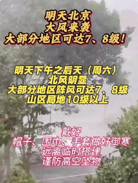 数九严冬北京出现罕见气象！
北京多个区拉响大风蓝色预警！
部分区域阵风可能飙到8