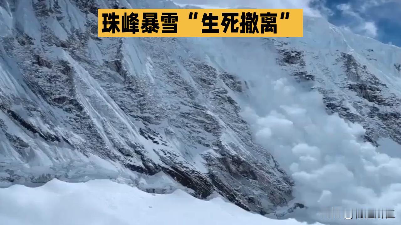 珠峰暴雪：向导“无极”一人一狗带超百人绝境撤离
 
10月4日，珠峰东坡营地突降