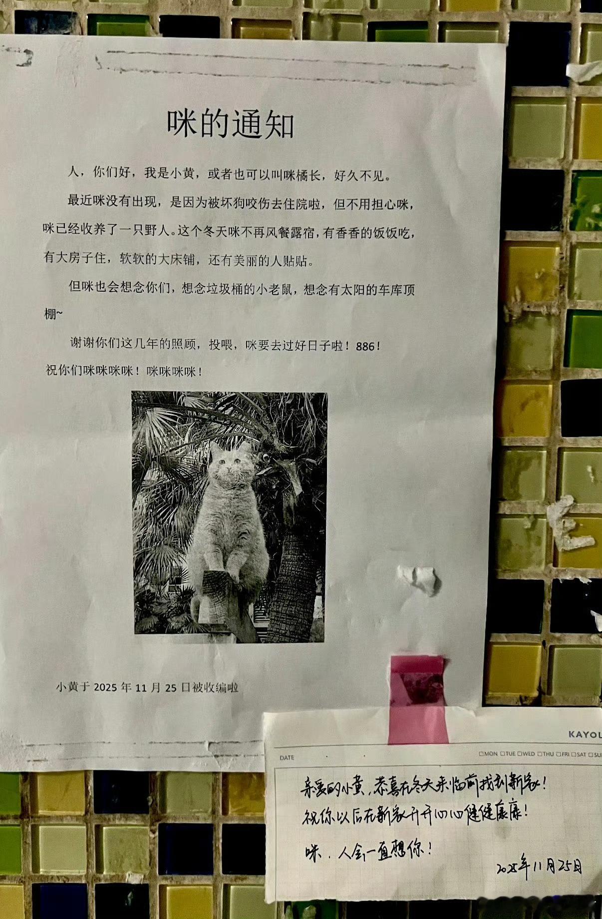 这个回复真的泪目