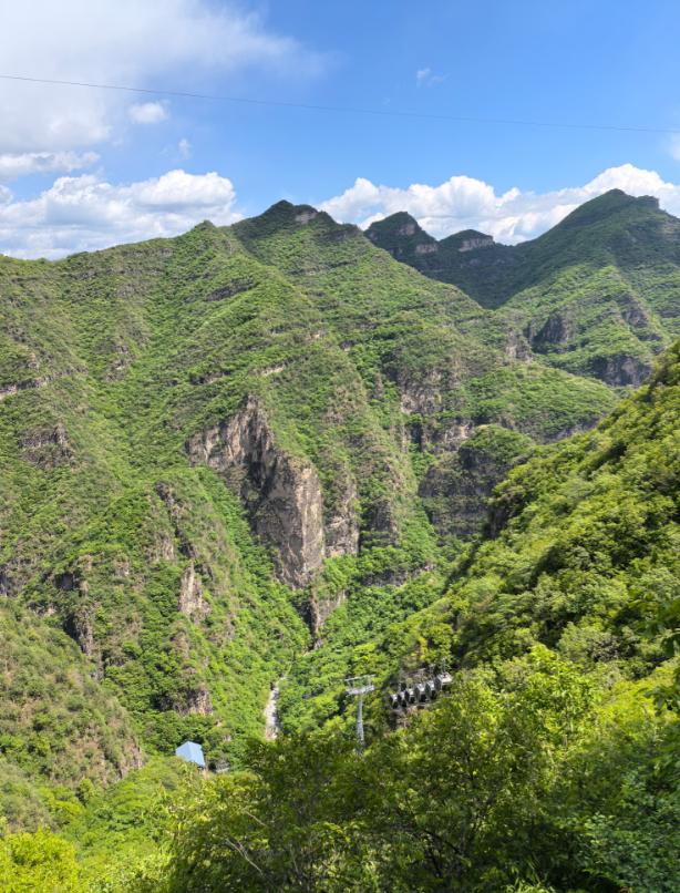 印度这波是真的惨，现在印度国内缺石油缺化肥缺电缺…… 各种缺。莫迪已经开始公开号