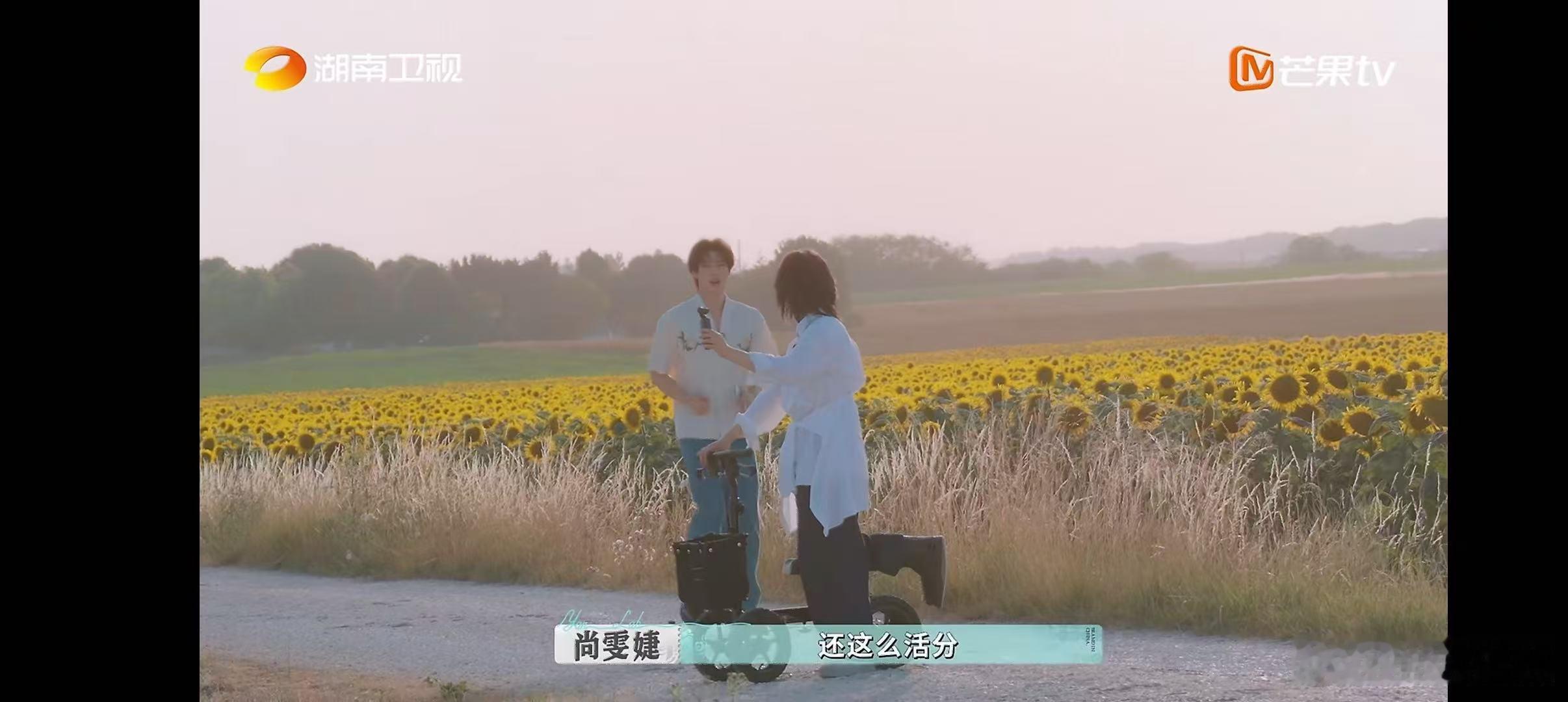 论颜安的精力条有多长 笑不活了！《巴黎合伙人》休班日，全员在向日葵花海发呆，颜安