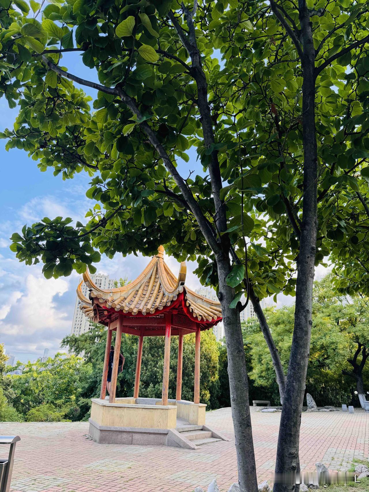 我写微头条时，总喜欢配上图片。
自开始写微头条后，无论走到哪儿，我都爱随手抓拍照