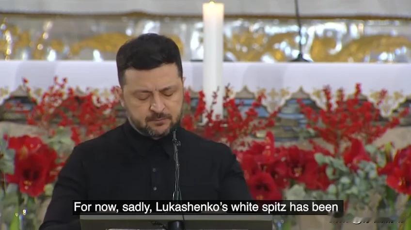 泽连斯基在记者会上，差点用俄语发言。
     近日，泽连斯基在维尔纽斯举行的新