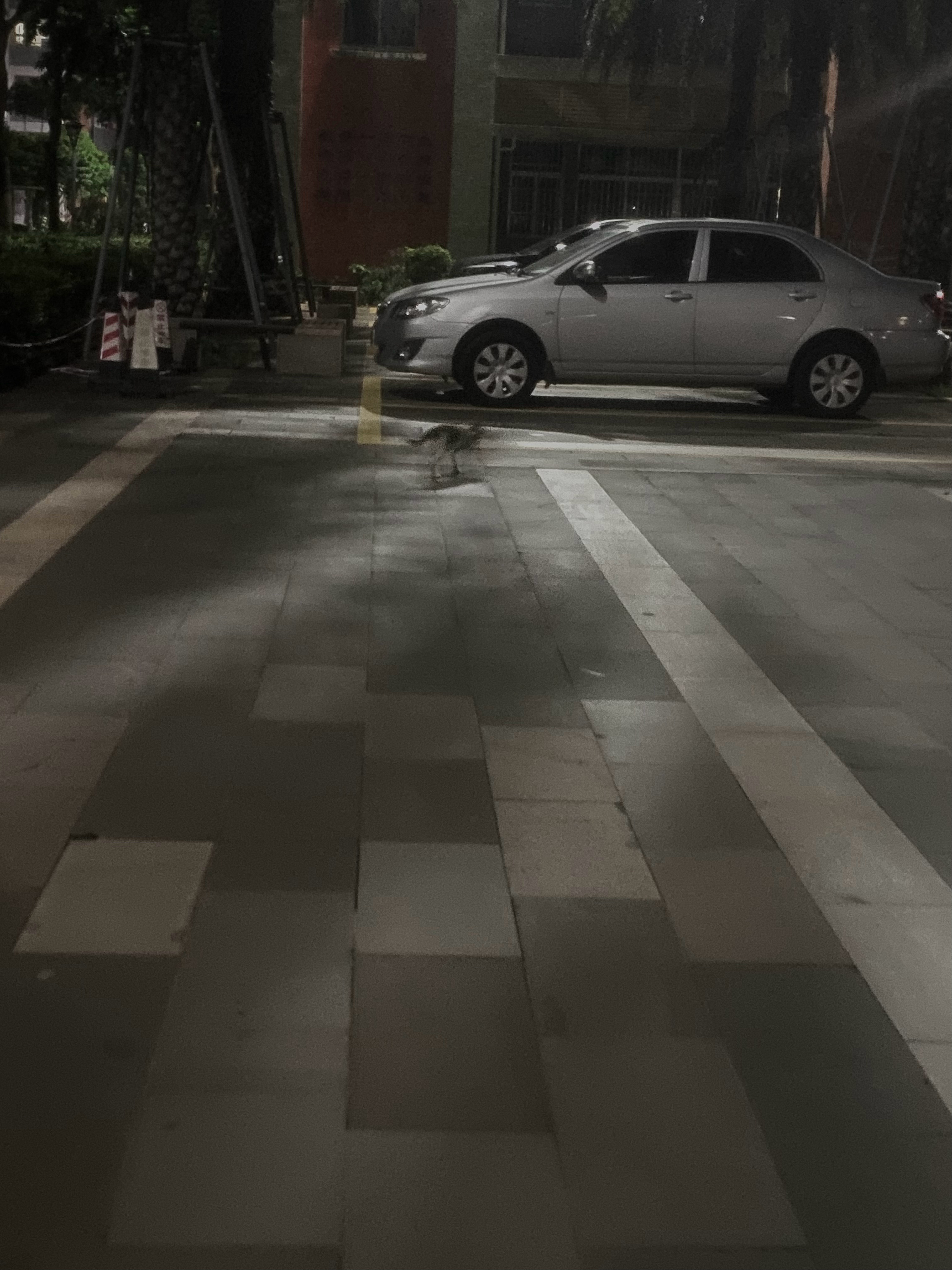 允许一切如其所是 ​​​