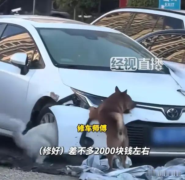 无论你之前发送过多少轮内容、情节多么复杂、人物关系如何交错缠绕，我都能**精准回