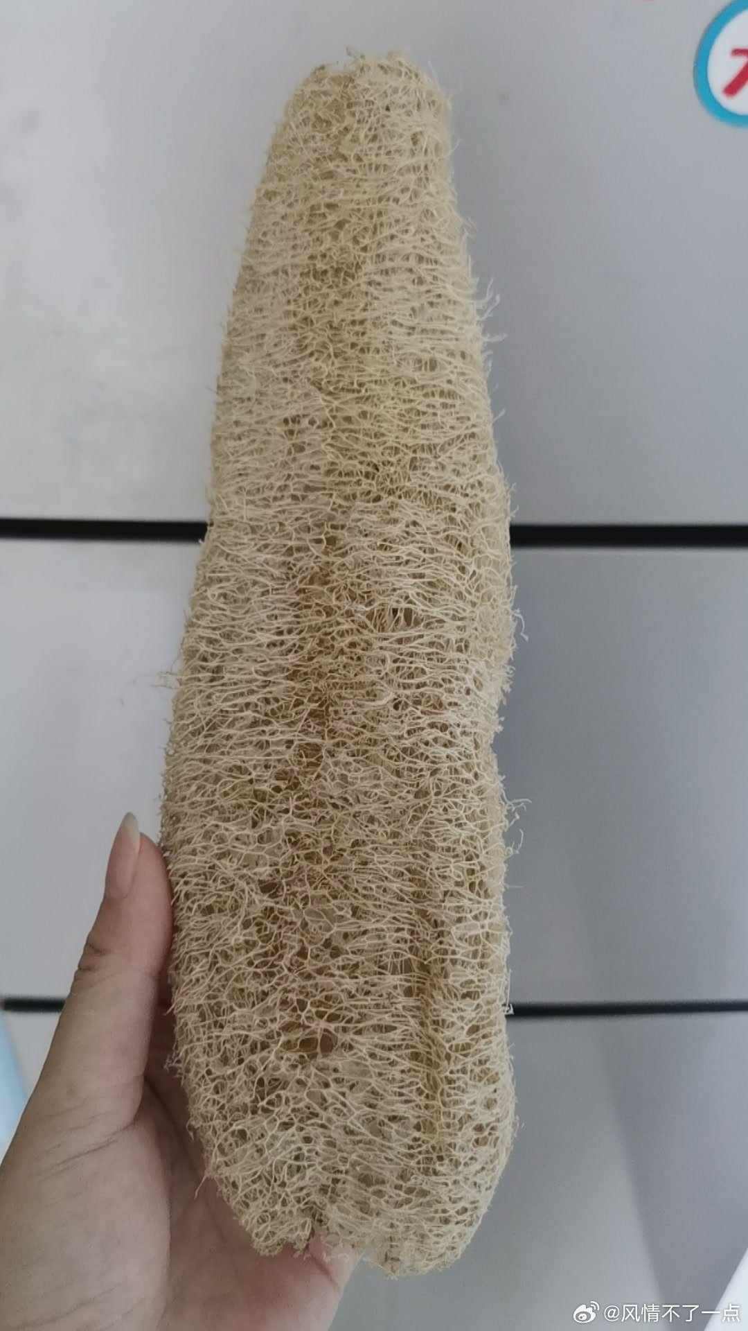 父亲节礼物是钢丝球差一点就巧了，我们的礼物是这个↓有人认识的吗是干丝瓜！洗碗贼干