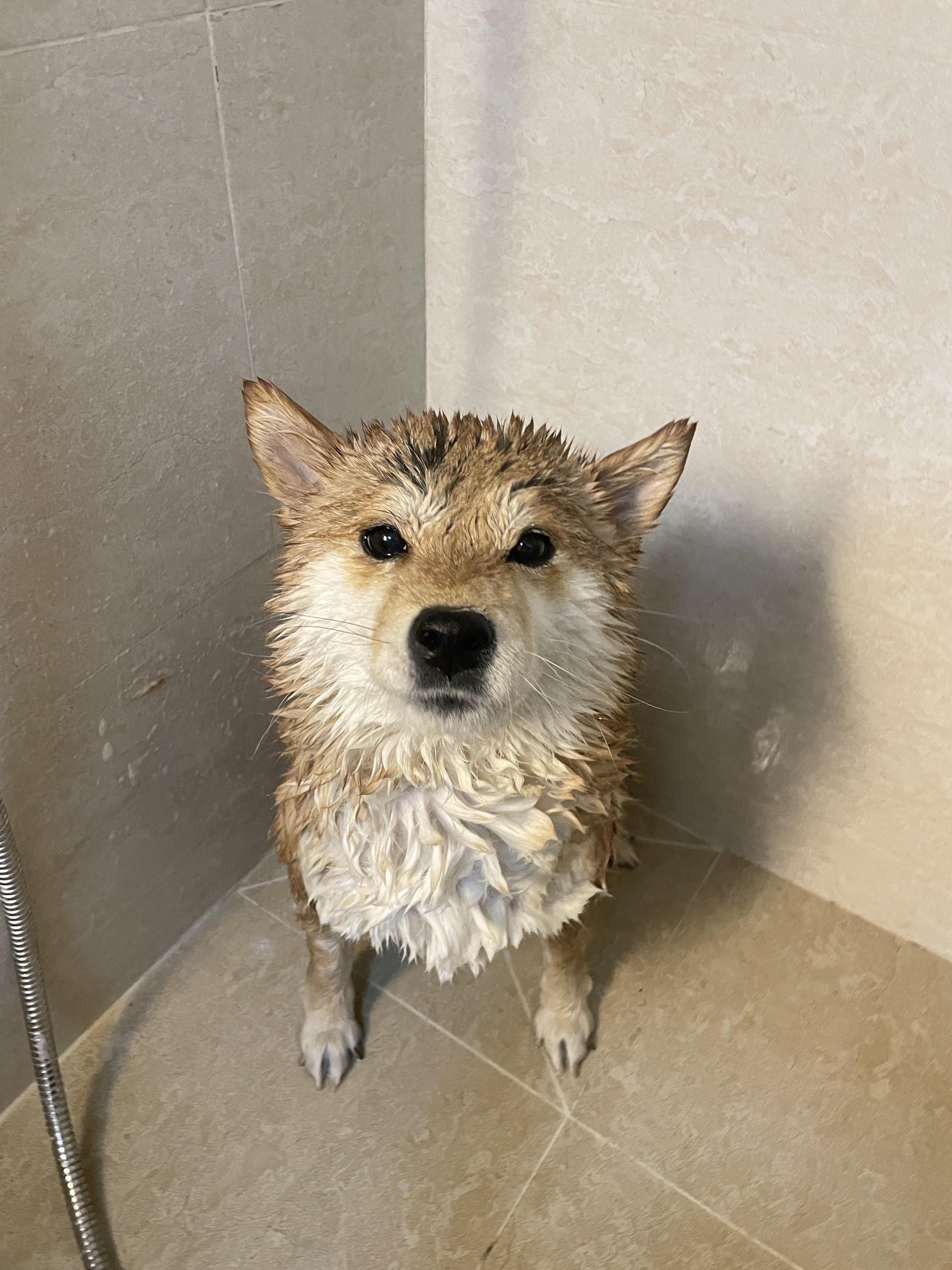 宝宝你脸尖尖的