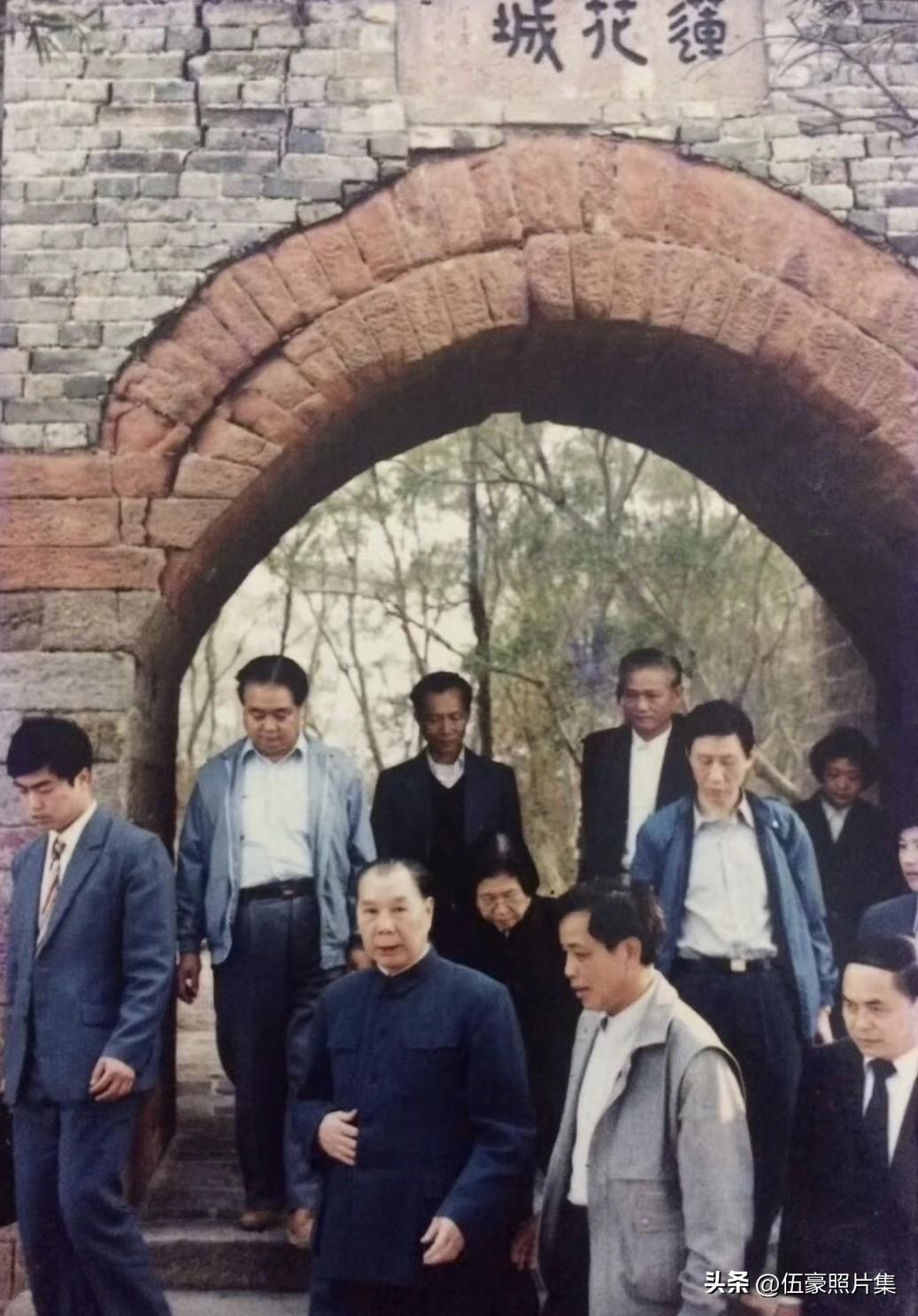 1987年，73岁的开国上将、全国政协副主席杨成武将军南下广东。在一次行程中，他