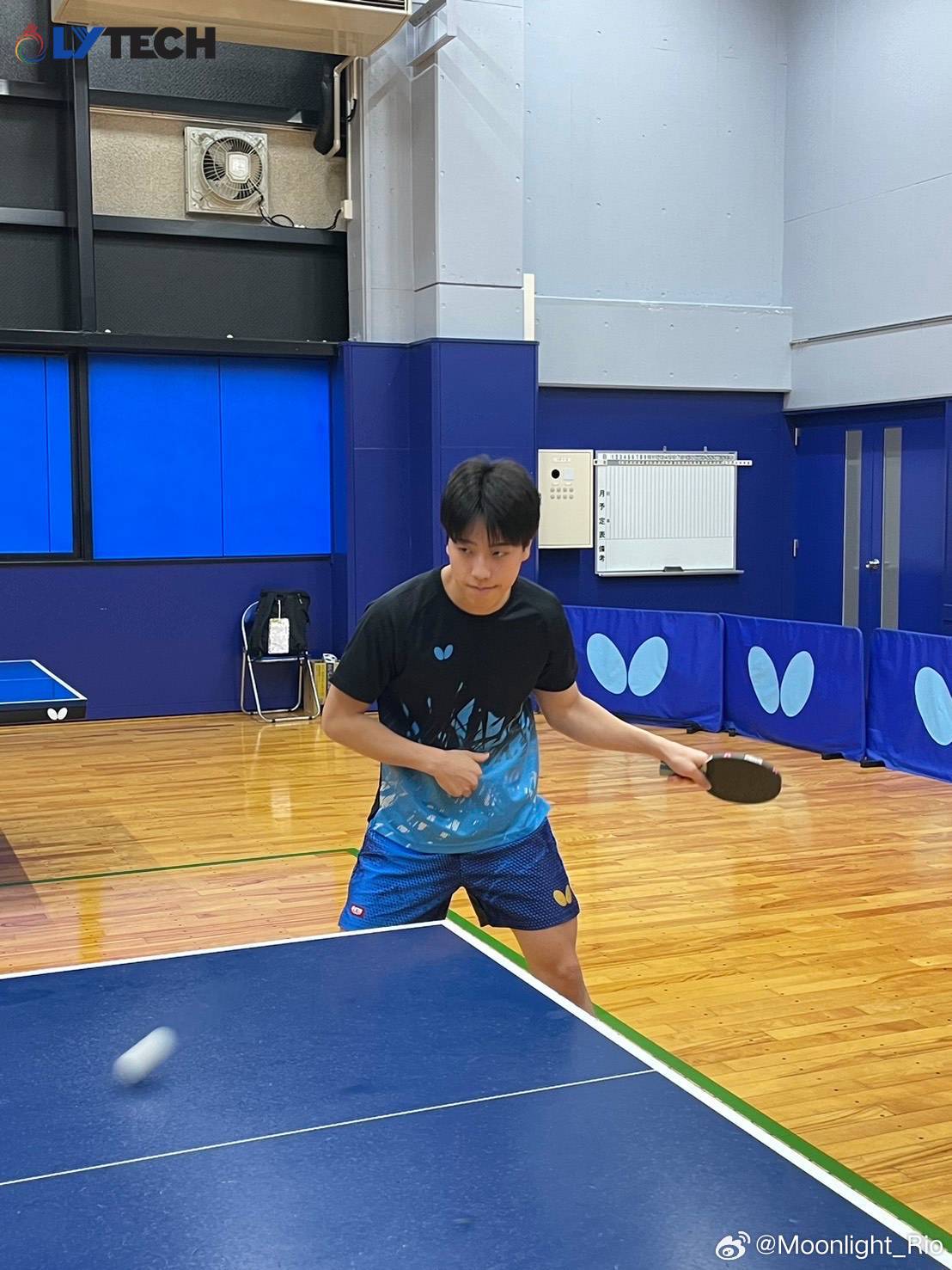 篠塚大登official：在德甲的期待和成长🏓在德国的联赛也慢慢适应了。每场比