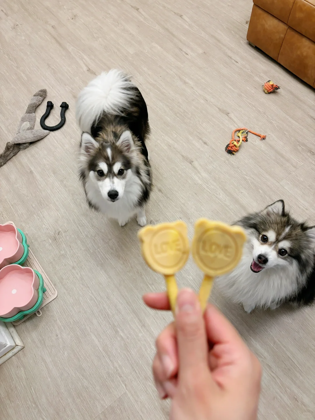 啊啊他真的好喜欢这个芝士棒棒糖 🥹🍭