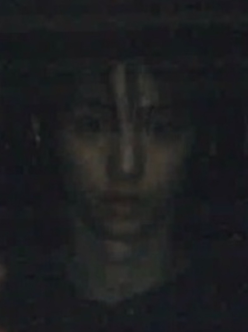 我就这样萌萌的看着你👁️👁️ 