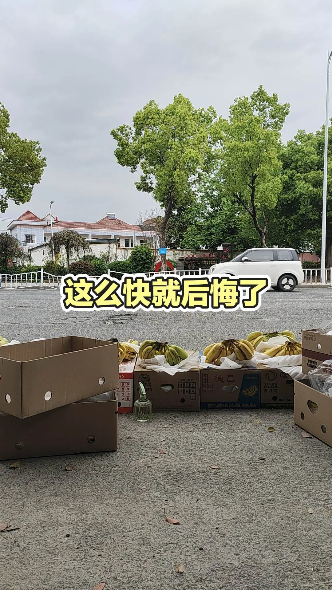 每日分享