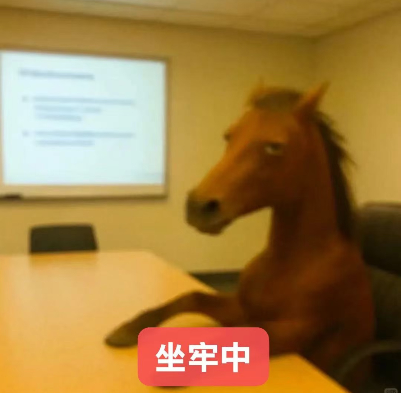 晚安💤 