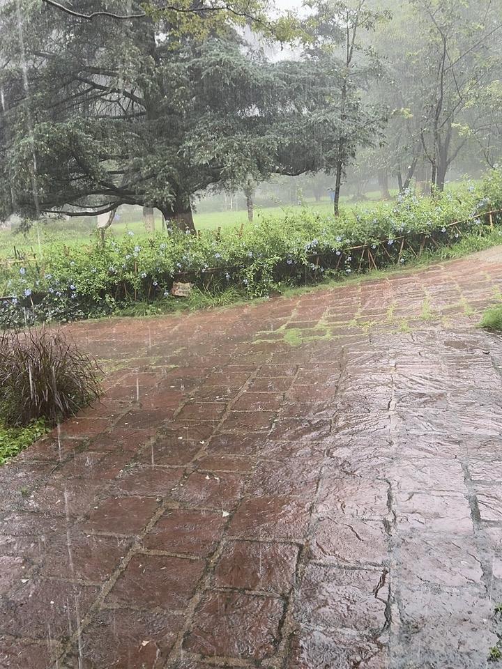 今天出门还是晴天，我就没带伞，结果雨下大了，回不去了。

我跟之前一样抱着侥幸心