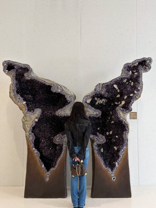 刘亦菲蝴蝶之翼刘亦菲遇见远古浩瀚旅行碎片 刘亦菲蝴蝶之翼真的好美啊 