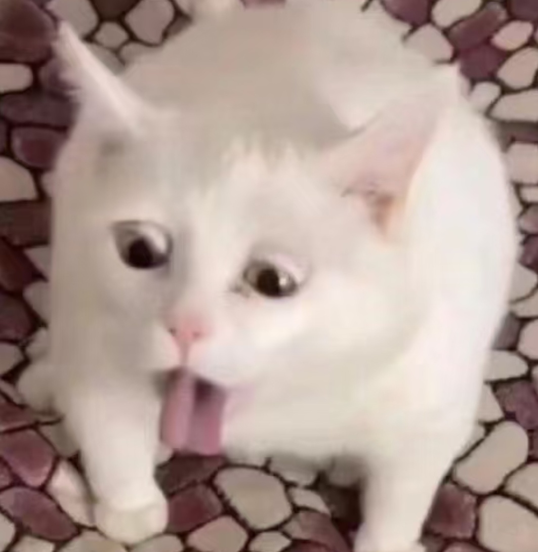 【鲨鱼竟然还能像猫一样“吐毛”？】海洋生物学家奥斯汀·加拉格尔曾在为一条鼬鲨安装