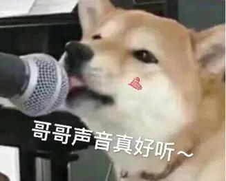鸟类也有小三，原配抓了现行，将第三者按在地上摩擦，鸟儿也讲究爱情专一，出轨者同样