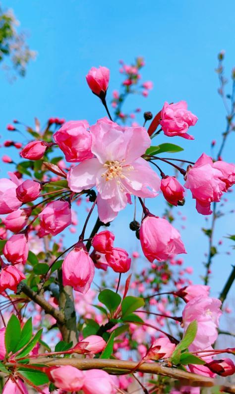 每日一善阳光信用 🌼风里藏着温柔，日子慢慢有了盼头。生活中总有温暖的瞬间，静待