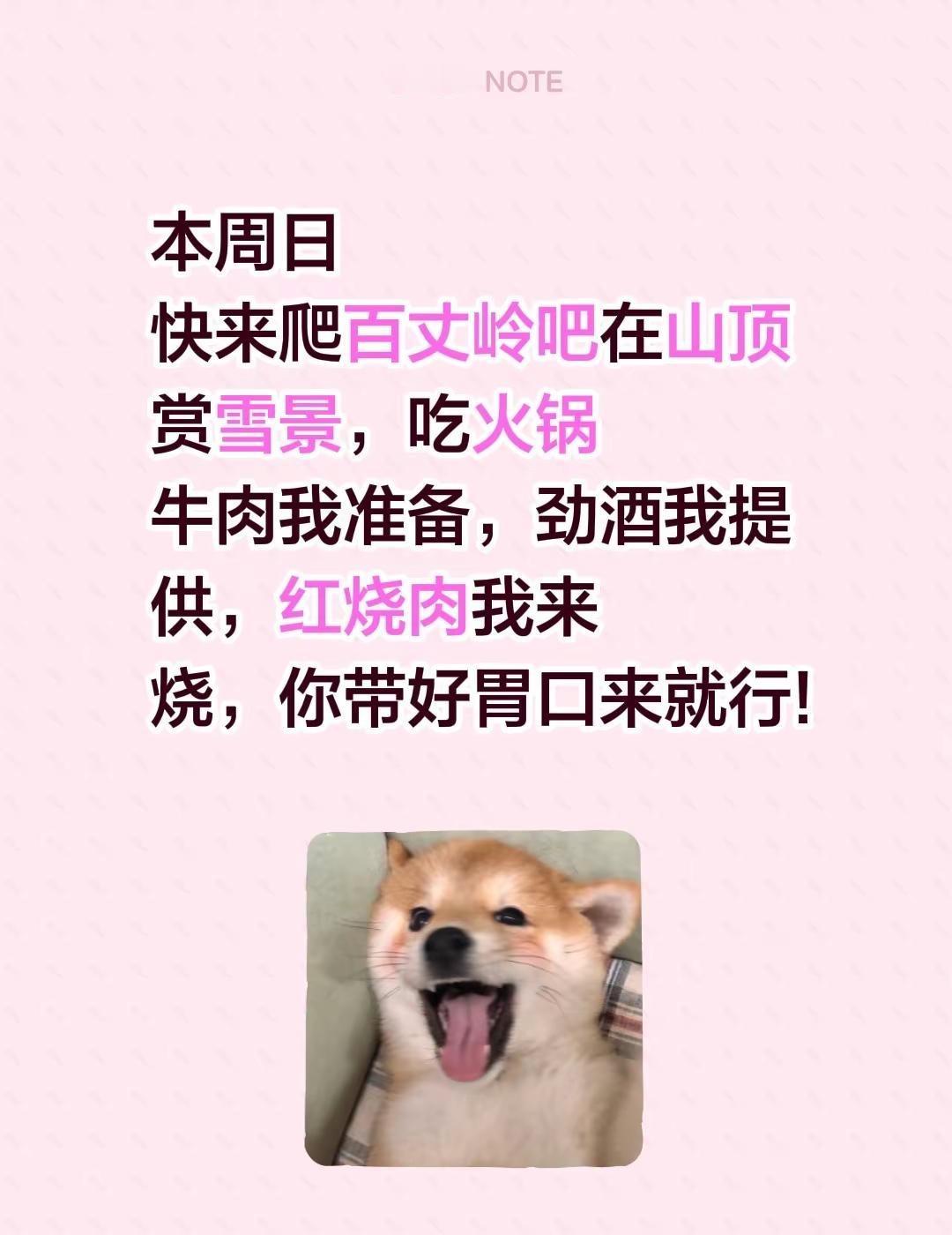 本周日快来爬百丈岭吧在山顶赏雪景，吃火锅牛肉我准备，劲酒我提供，红烧肉我来烧，你